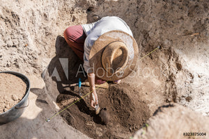 Archeologists & architects